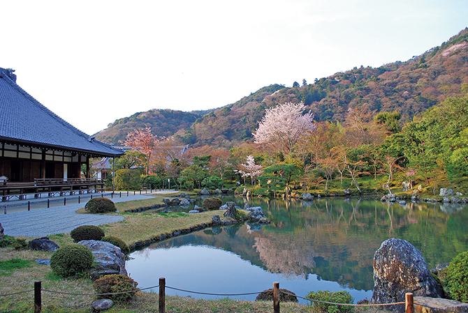 京都・嵐山の桜を見に行くバス・新幹線ツアー桜特集2025