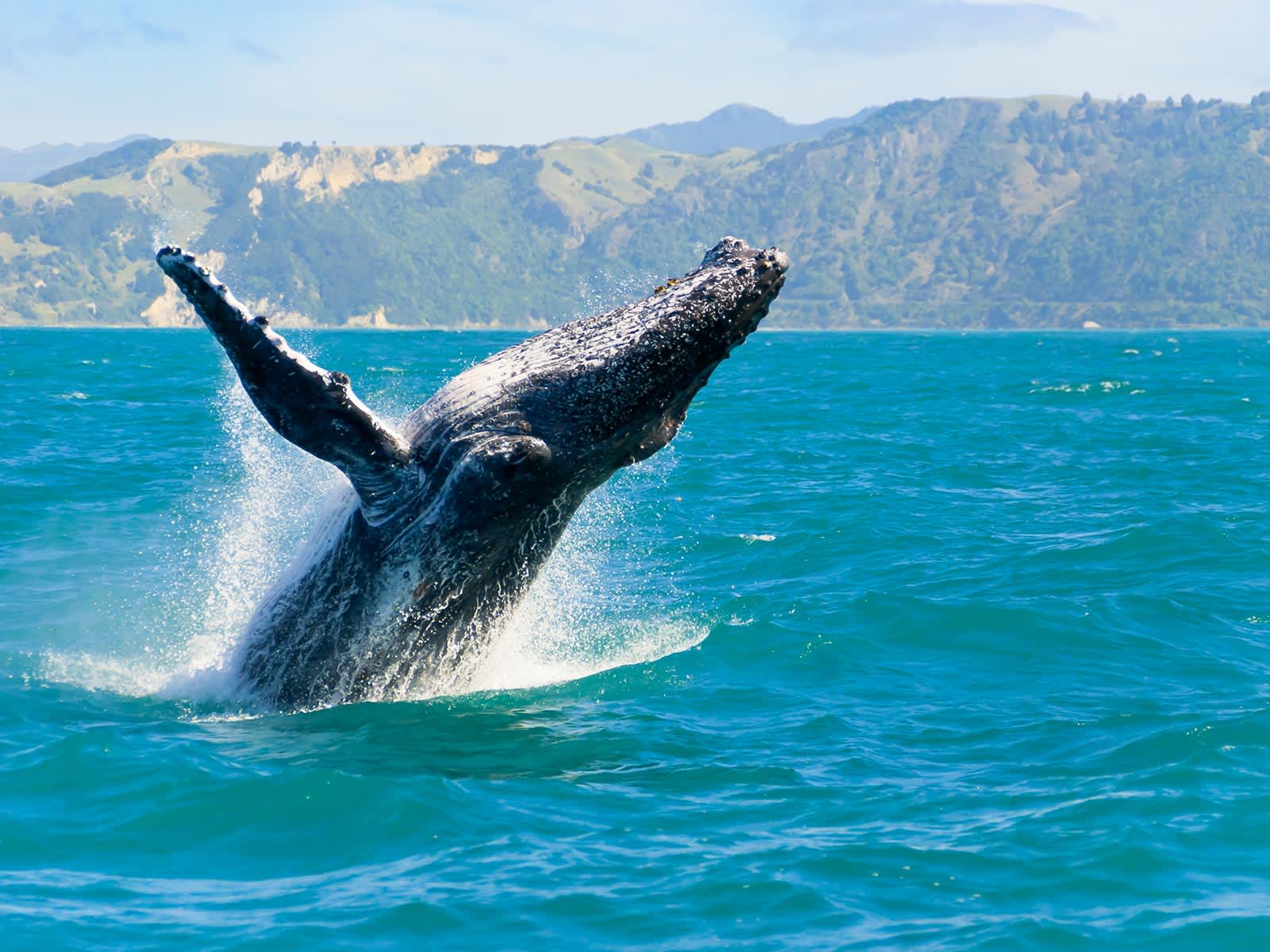 海外旅行に行ったつもり！オンラインツアーに参加してみたエース分室