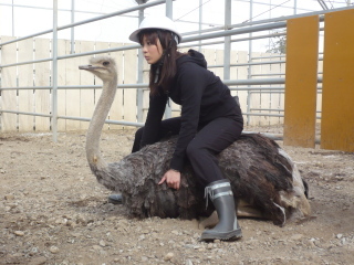 ONELIFE写真部『B級スポット!?ダチョウ牧場をめぐる編−②』フォトスタジオ ワンライフ