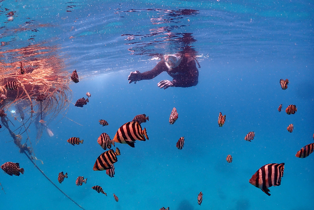 シュノーケリングツアー – ダイビングスクール BLUE CORNER