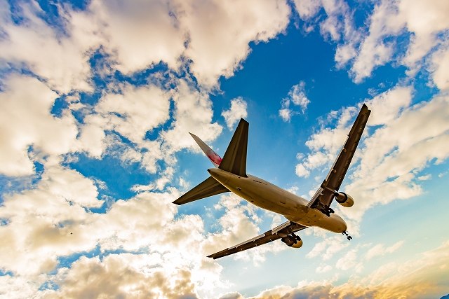 空に小さな機械を飛ばしているあのひと、何してる？おしごとはくぶつかん