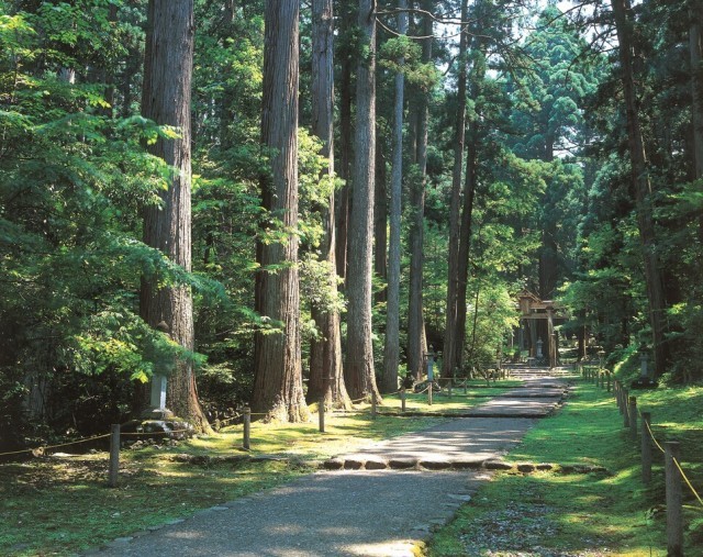 福井の観光名所「平泉寺白山神社」苔の絨毯と1300年の歴史を楽しむ- スキージャム勝山 よりみちガイド
