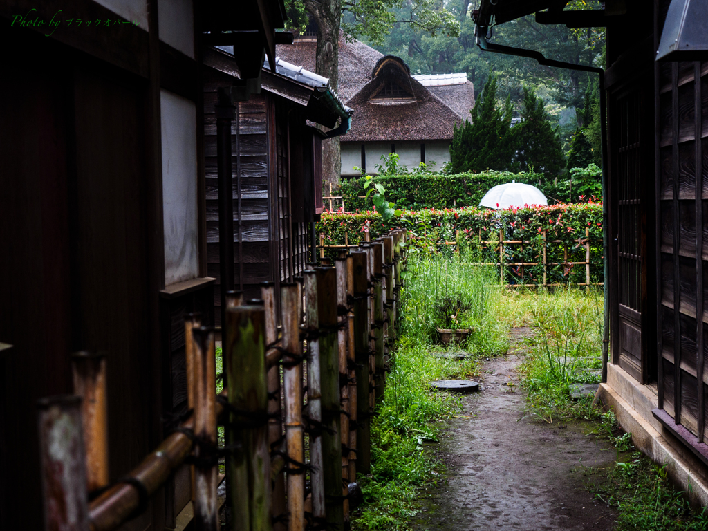 東京下町 路地裏から見える東京スカイツリー 夜景ライトアップ「ウォーリーをさがせ」の写真素材44095391- PIXTA