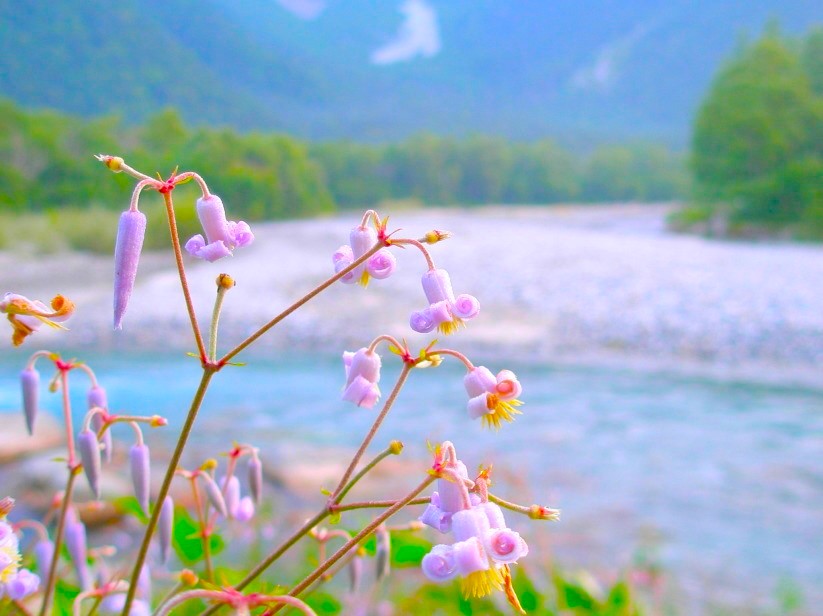 芥川龍之介「河童」の舞台！上高地「河童橋」は異世界への入り口？ - Skima信州-長野県の観光ローカルメディア