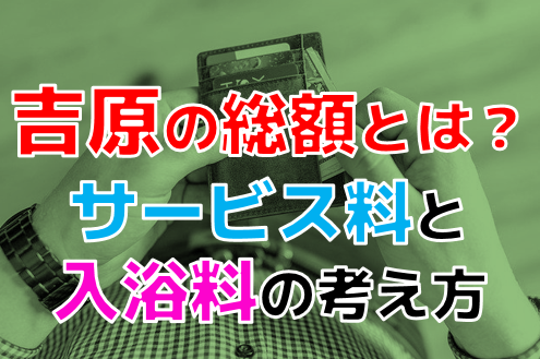 アリエル（吉原/ソープ）口コミ・評判を調べてみた！ | ワールドリフレナビ