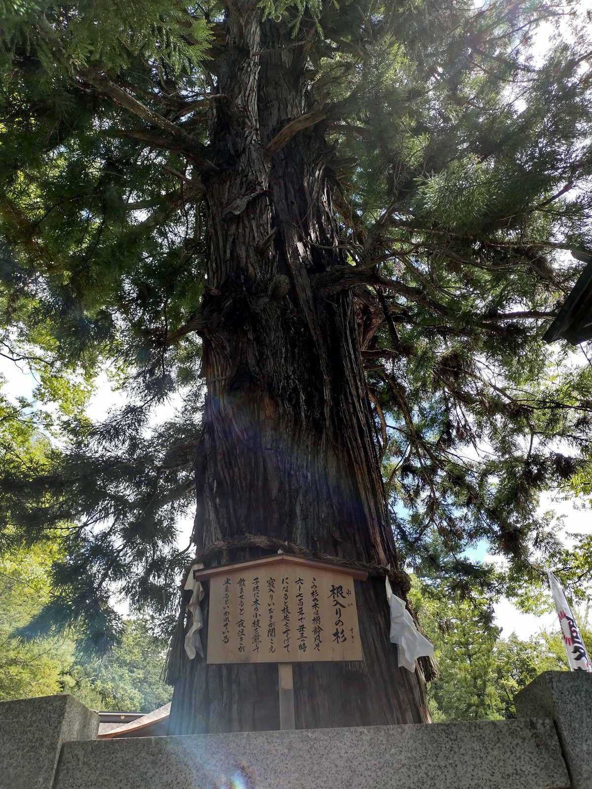 桂林個人旅行ガイド 2025年 ：おすすめの周辺アクティビティ、人気観光スポット、旅程の計画、宿泊施設、グルメ、交通機関、天気など、旅行に必要な情報が満載 2025年10月更新Trip.com