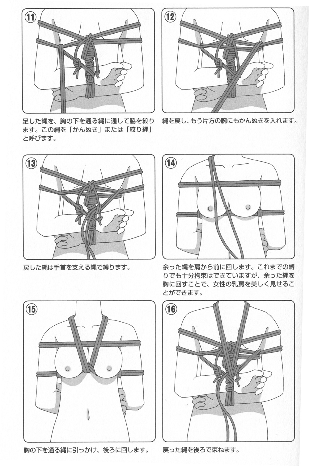 ロープワーク 紐を引くと輪が締まる便利な結び方【馬つなぎ・エバンスノット】How to