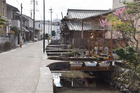 トップニュース - 延岡市立東海中学校