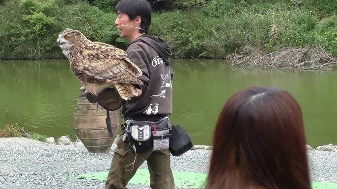 ドキュメント完結編！（五回目） : 「おれは失敗作か」 及川清美・のり子のブログ