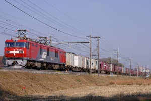 番外 西の「金太郎」も北の「金太郎」とともに頑張ってます！コウさんのコウ通大百科 ＰＡＲＴ３