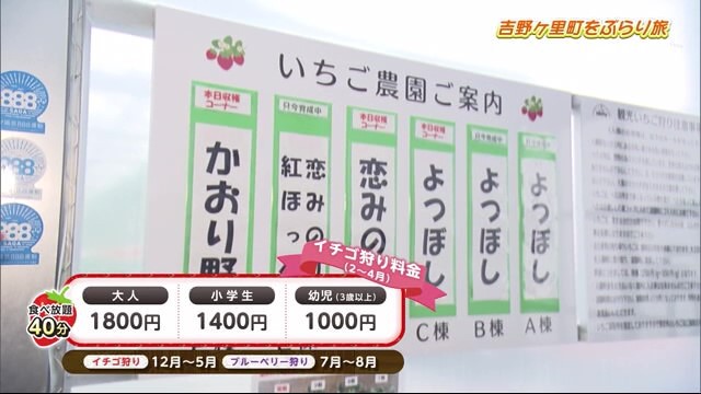 常総市のいちご狩りランキングTOP1 - じゃらんnet