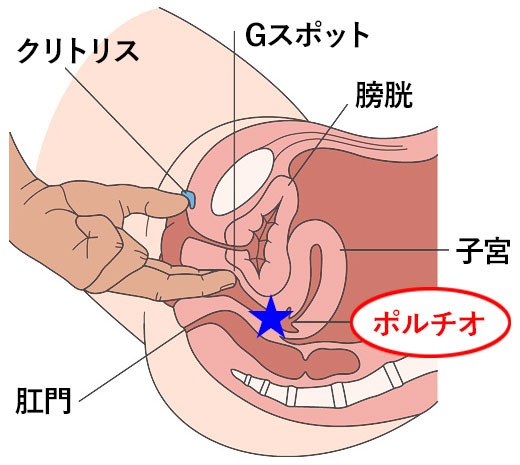 女性を悶絶させるセックステクニックをAV女優が伝授 – メンズ形成外科 | 青山セレス&船橋中央クリニック