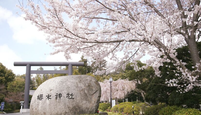 絶対行きたい！桜がきれいな山口県の神社仏閣まとめ5選IRAW by RCC