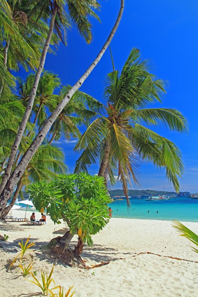 南の楽園「フィリピン」の美しすぎる島々!!あなたならどの島に行ってみる？トリドリ