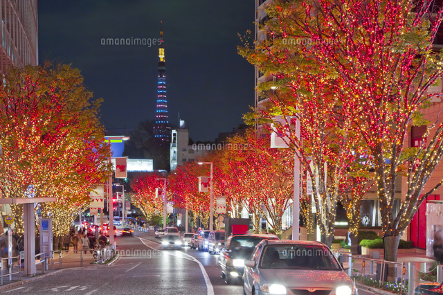 六本木けやき坂通り -東京都 の詳細情報ことりっぷ