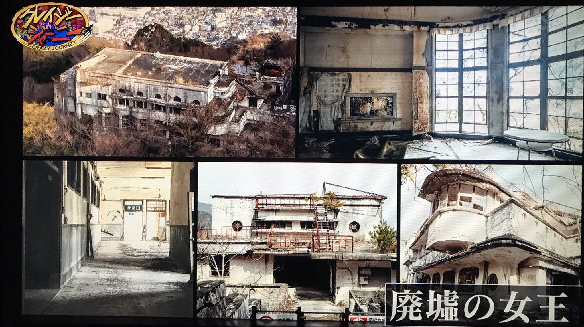 自然に還る途中の宿泊施設らしき廃墟🌱 1匹のたぬきがいそいそと入っていきました 廃墟haikyo廃墟写真ファインダー越しの私の世界廃墟マニア退廃廃墟好きな人と繋がりたい廃墟美廃墟スタグラム廃活ノスタルジーjapan_ruinsjapan_urbex