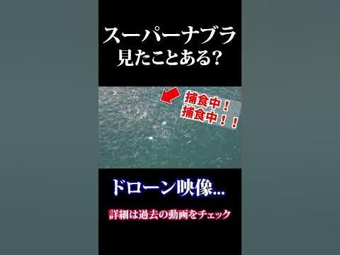 大沢逸美・平沙織『おとこ喰い』男と女の泡ゲーム～平成吉原ソープ物語 。 -