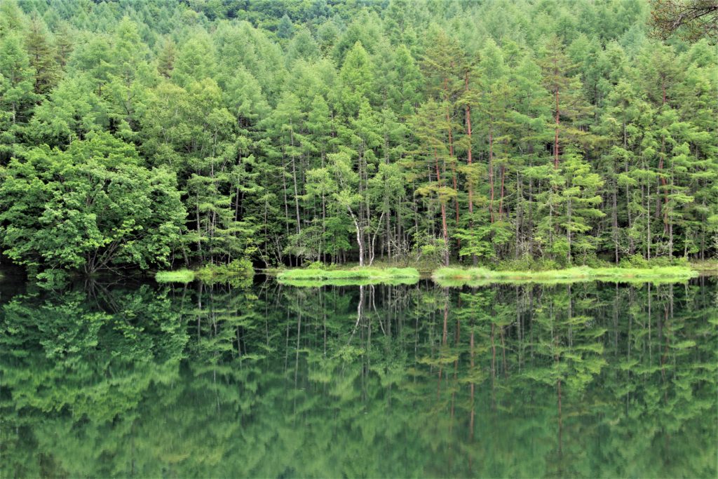 御射鹿池の紅葉絶景自然トリップアイデアGo NAGANO 長野県公式観光サイト