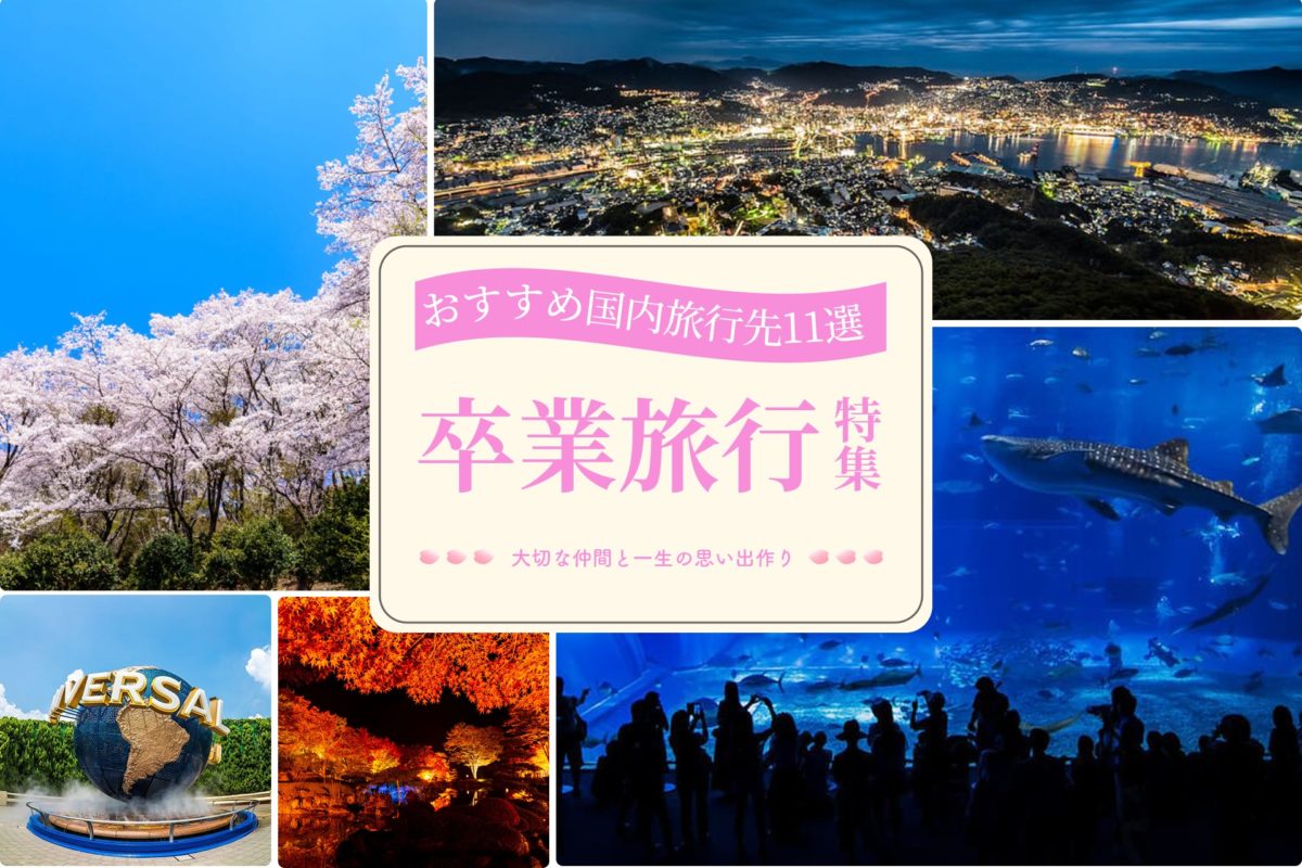 調査リリース 2023年夏の旅行トレンド全国調査 20代の宿泊予約はオフラインが有力、海外旅行