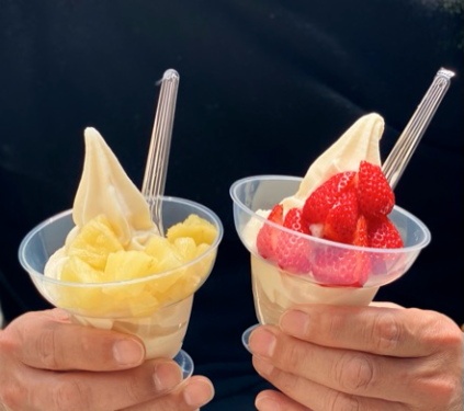 情緒あふれる犬山城下町でおすすめの食べ歩き9選！本格的なお肉から可愛いスイーツまで、インスタ映えも狙えるグルメとは！？たびこふれ