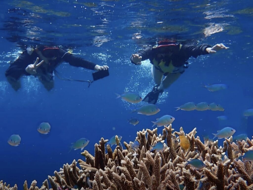 宮古島 シュノーケリングで人気のスポット新城海岸J-TRIP Smart Magazine 沖縄