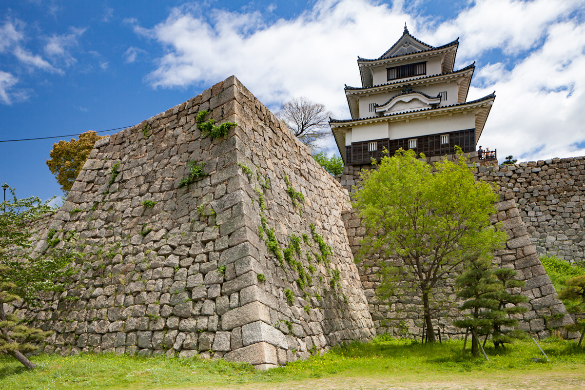 見事なのは城下からの見え方。案内人に学ぶ「丸亀城」築城の名手が築いた日本一の高石垣の名城をあるく 現存天守四国四城男の隠れ家デジタル