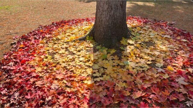 公式 ホテルブライトイン盛岡