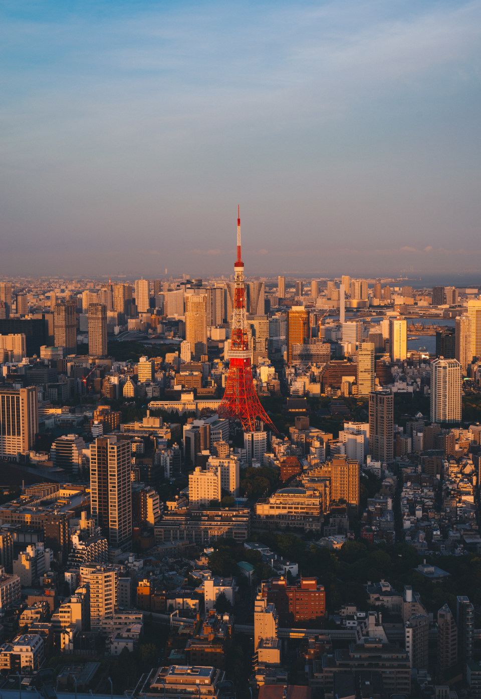 東京タワー 前編 」夜景写真家が選ぶオススメ撮影スポットVol.4GOOPASS TRAVEL