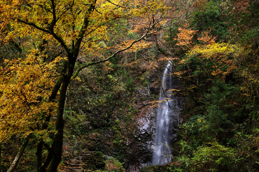 2025年 払沢の滝 - 出発前に知っておくべきことすべて -