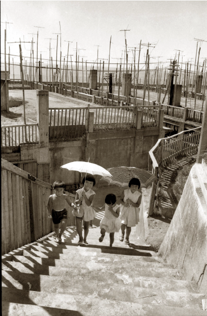 炭鉱で栄えた長崎市の軍艦島 端島 、閉山５０年のいまは観光で脚光 空中ルポ: 読売新聞