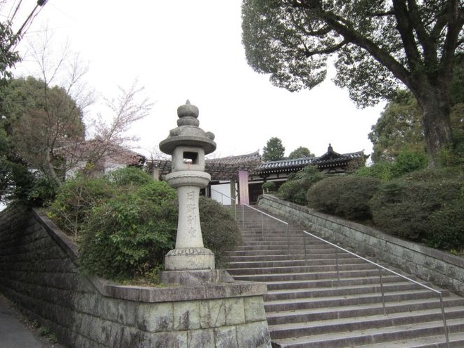 日野誕生院京都京阪バス8系統、京都市伏見区フレースエーの草花のブログ