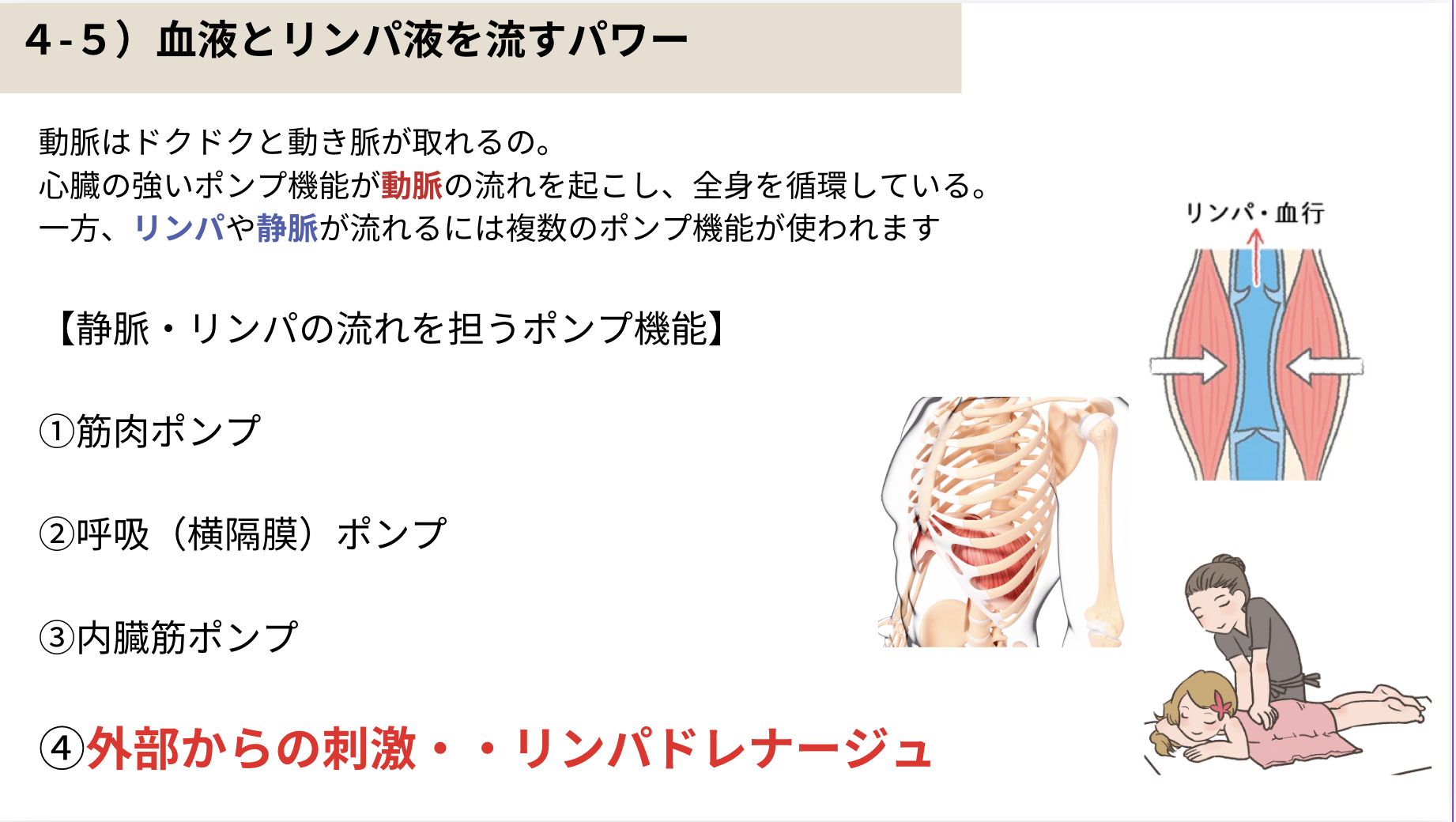 福岡 足つぼスクールなら♪ ｜福岡市リフレクソロジースクール 最短1日で取得