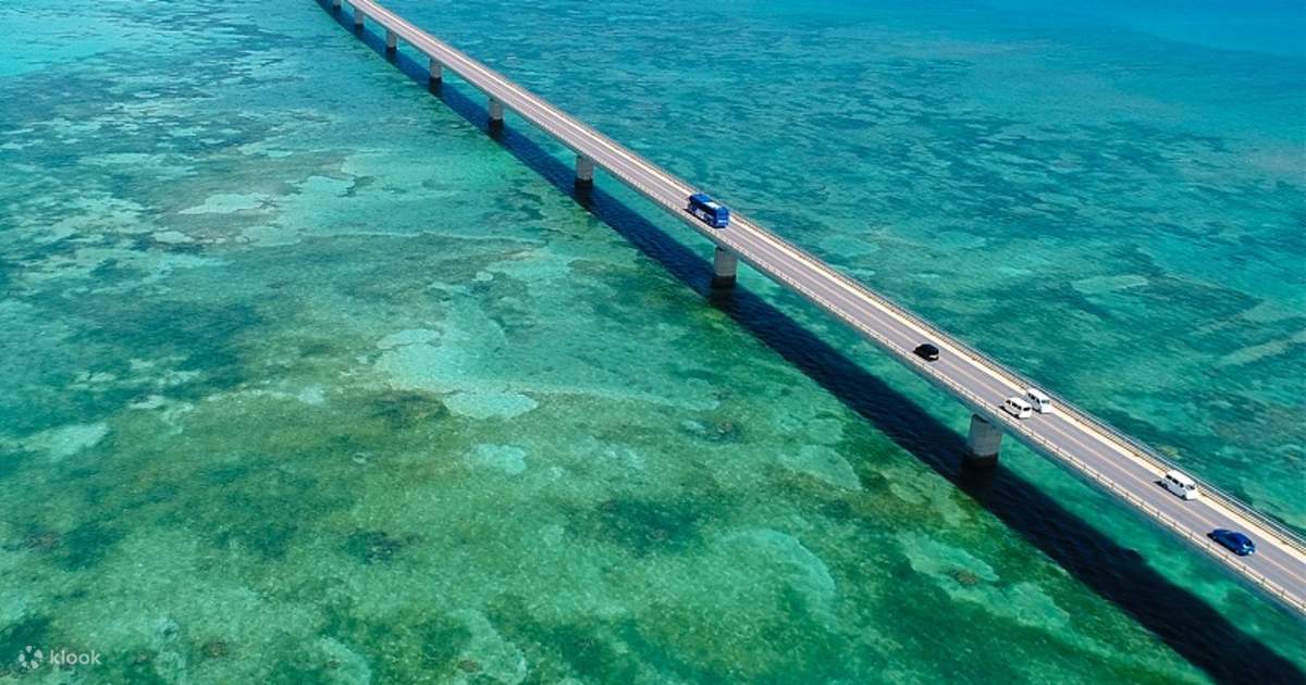 💙🌴🐲 宮古島は、日本の南にある楽園。白い砂浜、透き通る青い海、そして手つかずの自然で有名です。人生で訪れた中でも最も美しい場所の一つでした。,🏖️☀️ Miyakojima