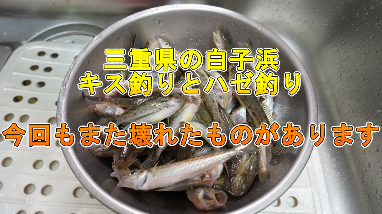 御座白浜海水浴場スポット・体験伊勢志摩観光ナビ - 伊勢志摩観光コンベンション機構公式サイト