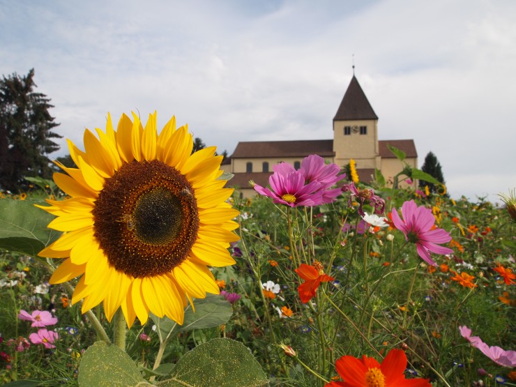 島全体が世界遺産なのになぜか観光地化されていないライヒェナウ島を存分に楽しむ 黒い森旅行⑤Arisa in Göttingen
