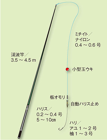 鮎の友釣り完全入門×小沢聡×村上しづか ～基礎編～SHIMANO シマノ