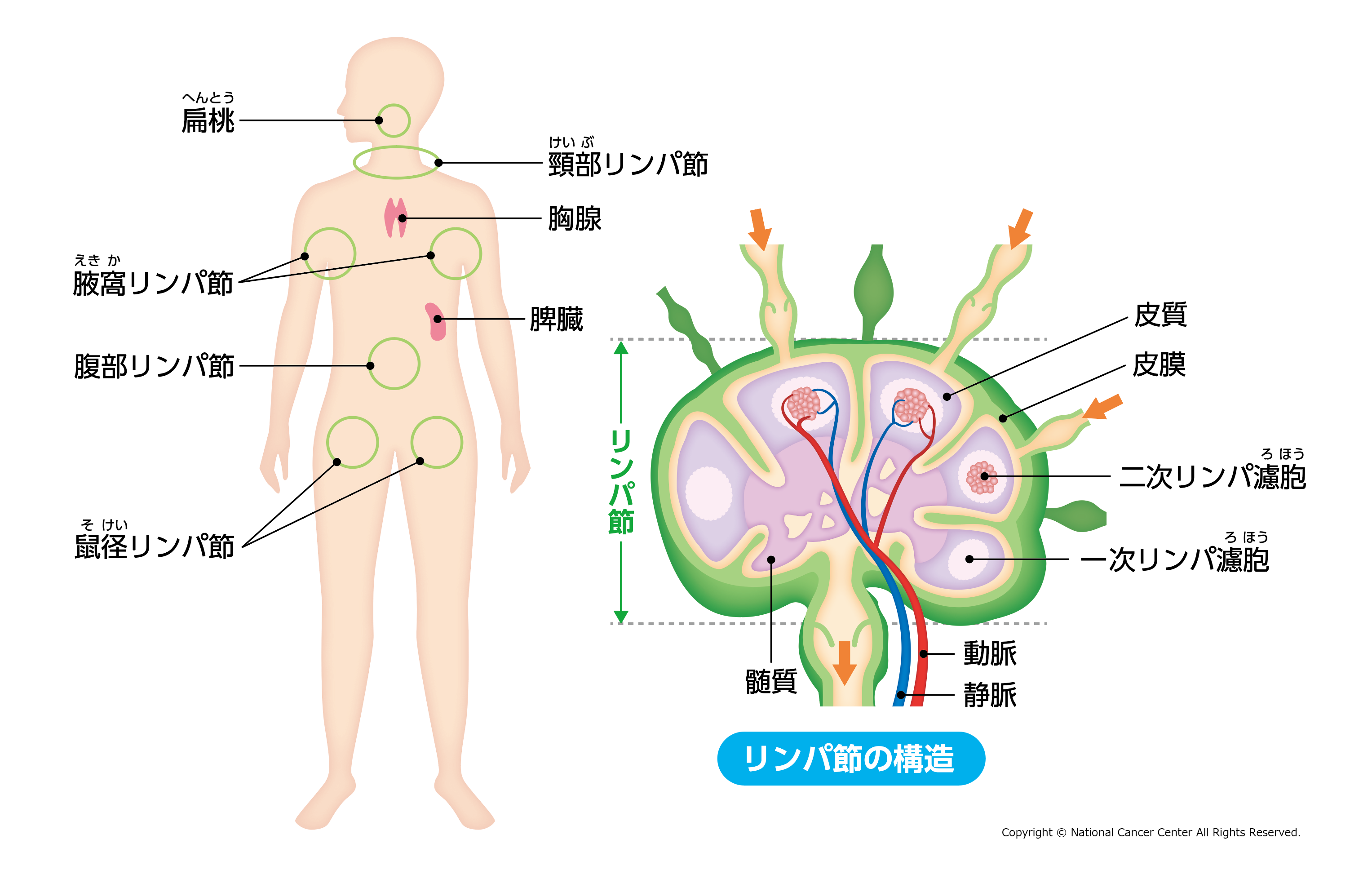 家事代行・ベビーシッター体験モニター募集中！ | いしかわ おやコミ！.net