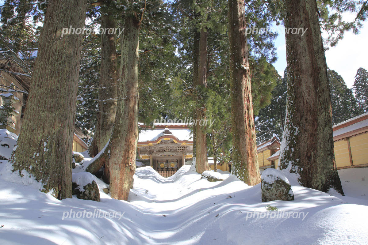 雪の踏切で車が立ち往生、近づく列車に「おーい止まれ」合図したが間に合わず衝突 : 読売新聞