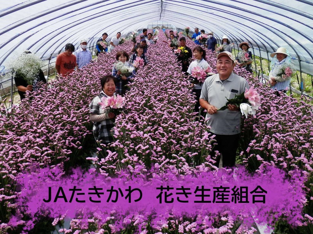 滝井新地へ行ってきましたが・・・（３月２９日訪問） | 新地くん