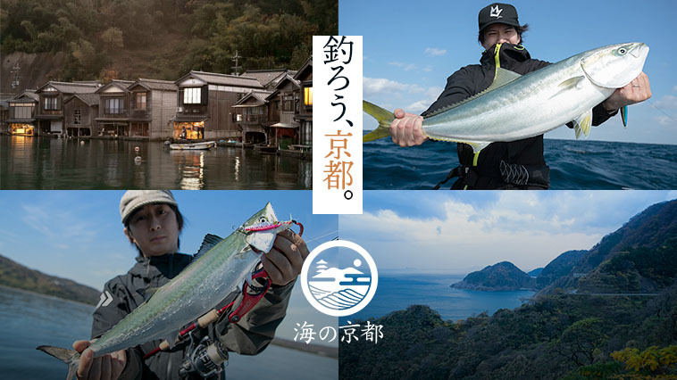 京都のアジ釣り場~アジング、サビキ釣りポイント魚速報