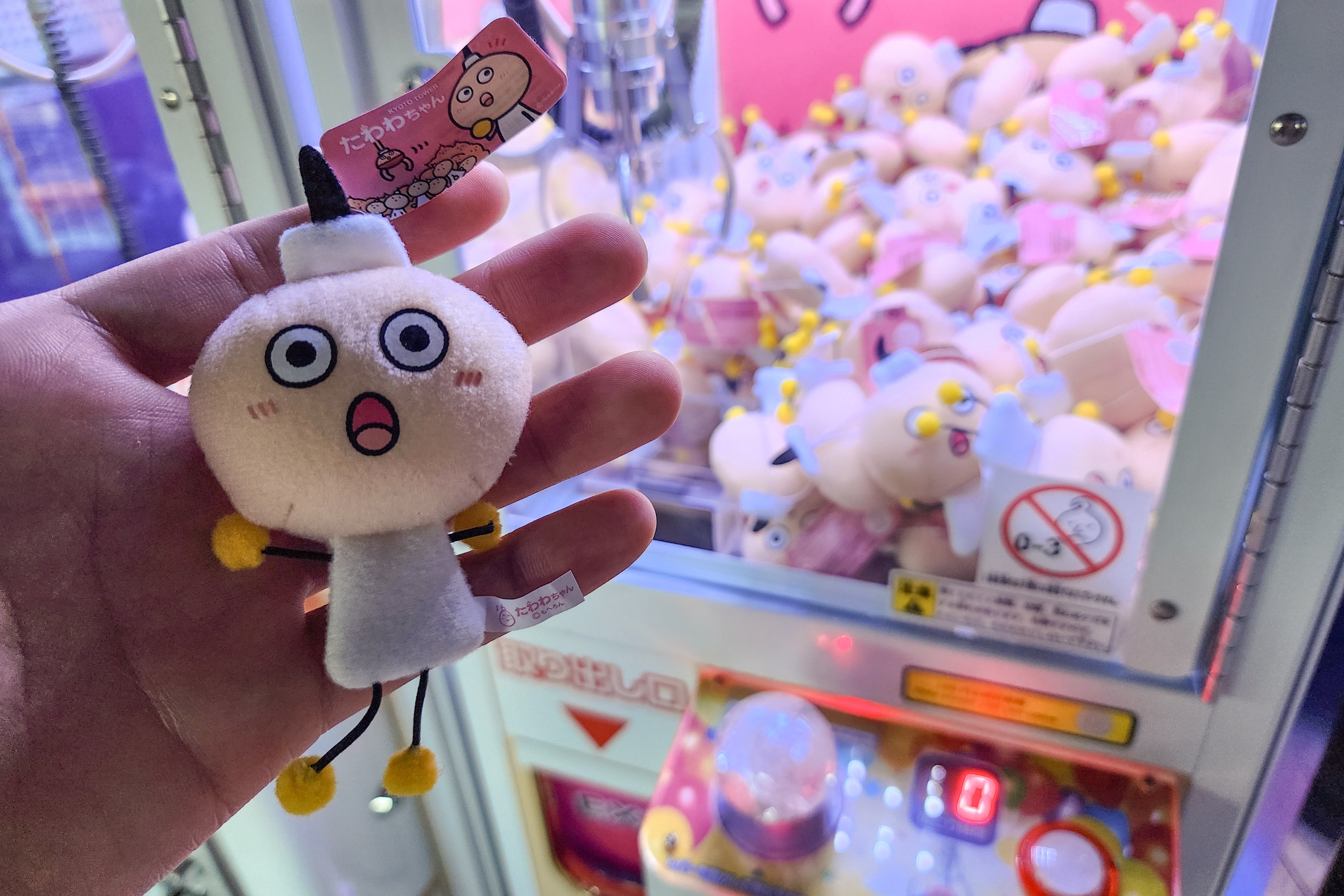 Amazon.co.jp: ゆきお ご当地