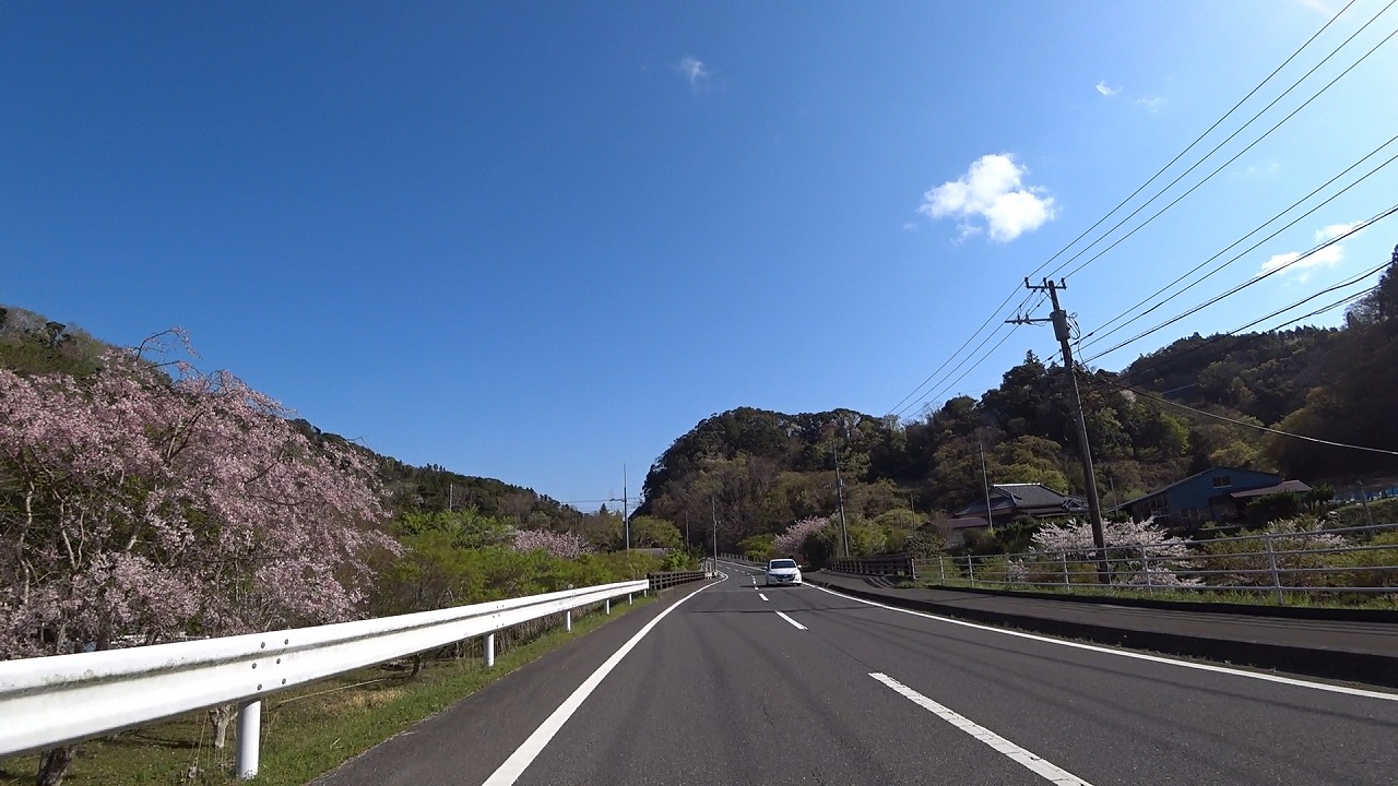 千葉：もみじロード