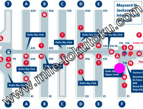 エアカナダのストライキに巻き込まれた！代替便確保から帰国までの流れCHIHIRO