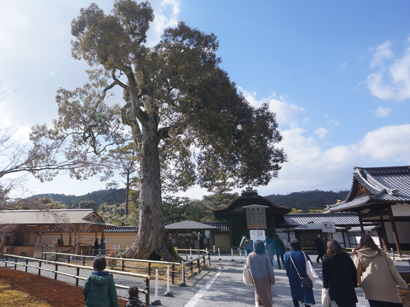 京都府の世界遺産「金閣寺 鹿苑寺 」とは？建てた人物やその歴史を含めて世界遺産マニアが解説世界遺産マニア