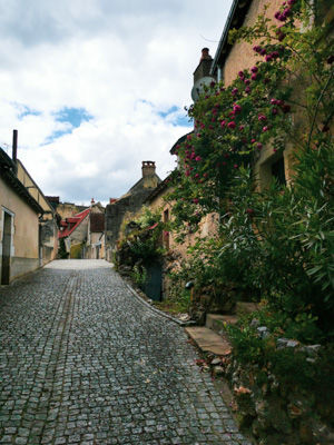 📷 日本人が見たフランス ロワール地方のヴァンデ県にあるアプルモン城🏰と綺麗なバラ。🌹「フランスの最も美しい村」に登録されているアプルモン＝シュール＝アリエを訪れた@photpartからのお写真です。Région Pays