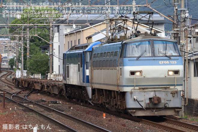 山科駅撮影記 令和6年7月lp82145の雑記録