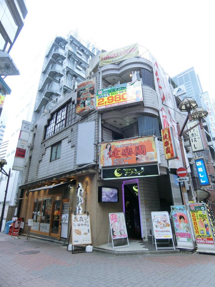 新宿区歌舞伎町1-13-4(新宿駅) 歌舞伎町ＮＮビルのリース店舗・キャバクラ・風俗可の貸店舗・貸事務所|テナントナイター[175]