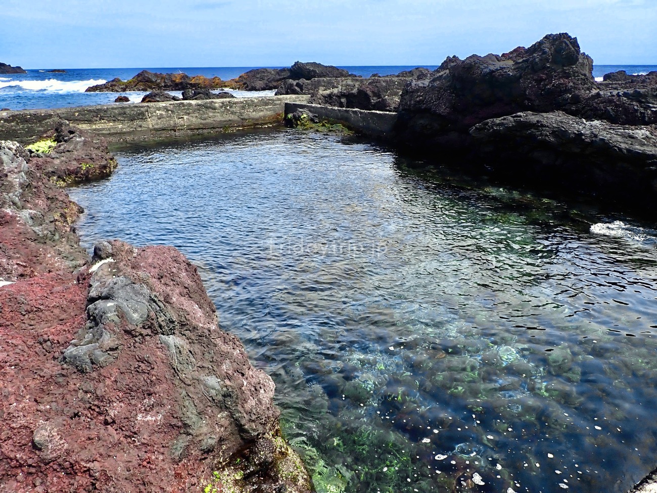 伊豆大島 溶岩が作る天然のプールでシュノーケル！レンタルやシャワー情報など - きんようびのトリップ