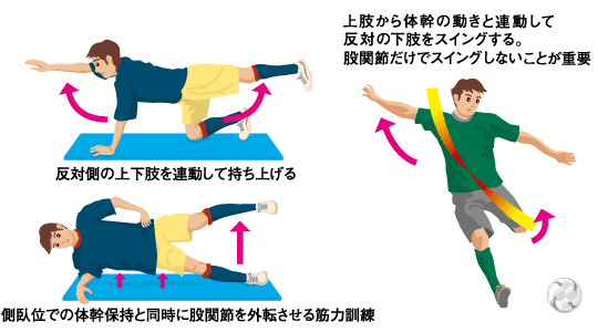 神奈川県、鼠径ヘルニアのクリニック・病院一覧｜ドクターズ・ファイル