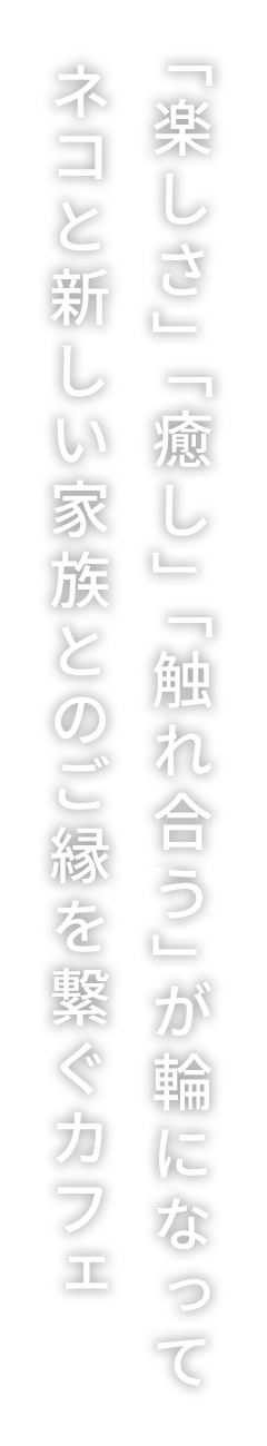 ねこパン工房らんど | 😺ねこのしっぽシリーズ😺